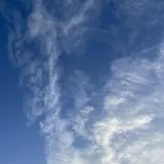 ゆーの画像