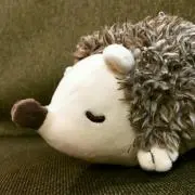 みろぽん