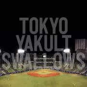白日夢