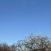 玉吉の画像