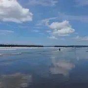 Tocoの画像