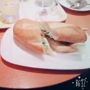 しょーあやめ