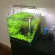 やんたの画像