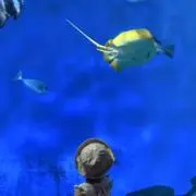 みーちゃんの画像