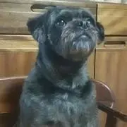 けんよね