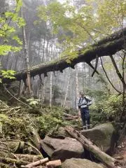enidの画像