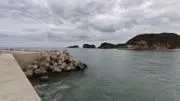メイの画像