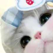 みこの画像