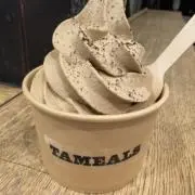サンサン猫