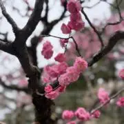 ちゅん‪‪‪‪【プロフ必読】の画像