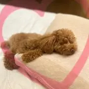 (^^)の画像