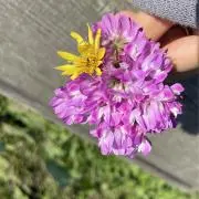 お値下げ交渉→大歓迎❣️｜めめSHOP✨