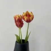 katu