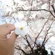 stchan13の画像