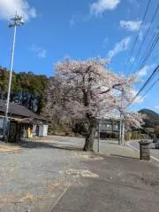 山田花子