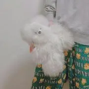 もち