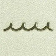 Safari　※プロフィール必読※