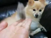 fmknakの画像