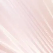 たけうちの画像