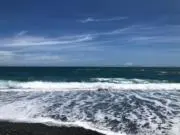 シナモン