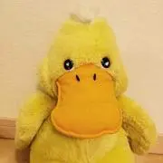 gaako
