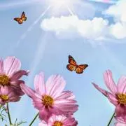 そら