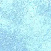 ぼえみ