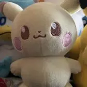 きのの画像