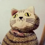 こんぶの画像