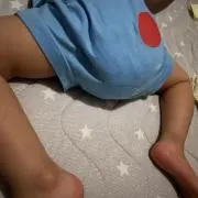 だいちむんの画像