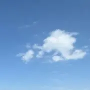Skyの画像