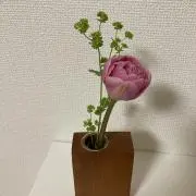 pakiraの画像