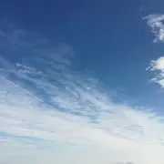 ちと