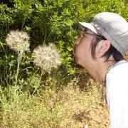 ヨロの画像