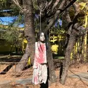 みやび