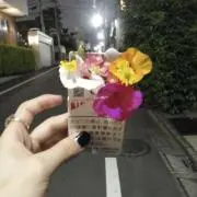 そらまめ