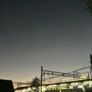 らいおん