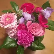 くれあの画像