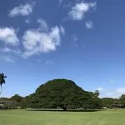 えるきちの画像