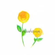hauhau.uの画像