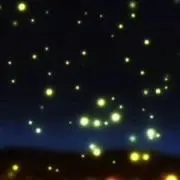 AUOの画像