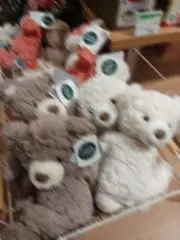 犬卵の画像