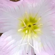 s3の画像