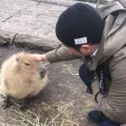 たじまの画像
