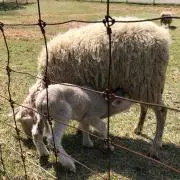 にこ