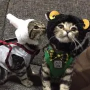 ゆっき