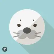とまとん。の画像