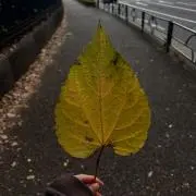 mの画像