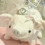ぶうちゃん
