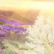 taegiFMの画像